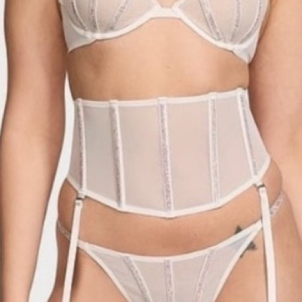 Very sexy VS sheer shine waist cinching garter belt